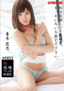 BRA-003 New Obedient Pet Candidate #003 Aoki Karin