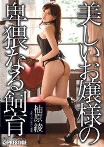 ABP-150 The Indecent Breeding of a Beautiful Lady Kamio Mai